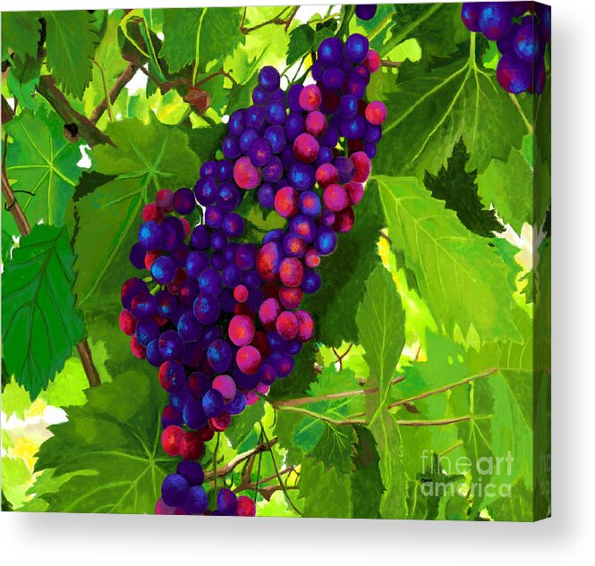Grapevine Acrylic Print featuring the painting Grapes on the Vine by Jackie Case
