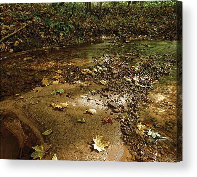 Pinney Bridge State Game Area Acrylic Print featuring the photograph Gravel Bed by Gary O'Boyle