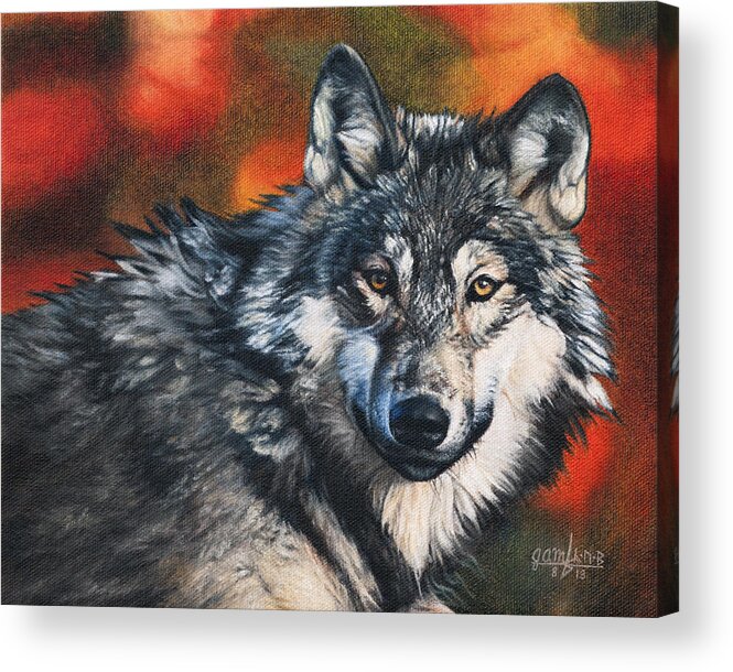 Wolf Acrylic Print featuring the painting Gray Wolf by Joshua Martin