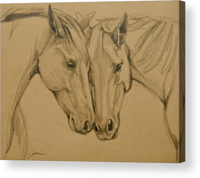 Horses Acrylic Print featuring the drawing Greetings Friend by Jani Freimann