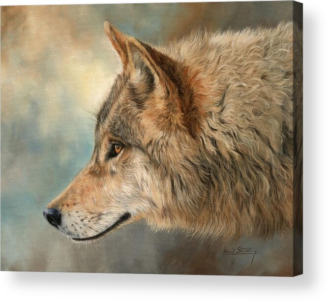 Wolf Acrylic Print featuring the painting Grey Wolf 3 by David Stribbling