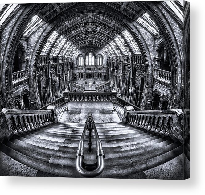 Bw Acrylic Print featuring the photograph Harry Potter Meets Escher And Darwin. by Massimo Cuomo