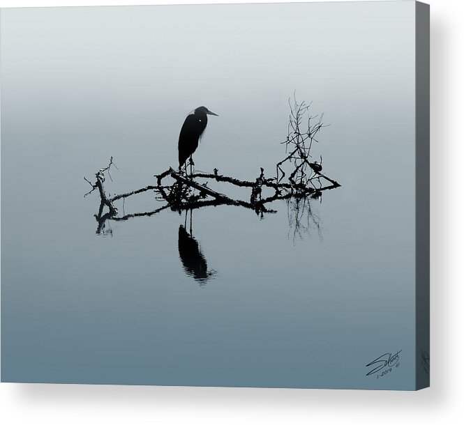 Bird Acrylic Print featuring the digital art Heron on Submerged Tree Branch by M Spadecaller