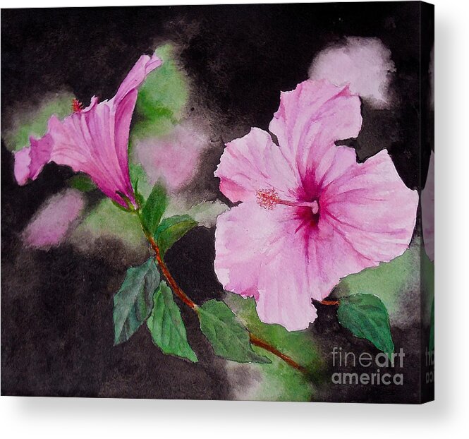 Flowers. Hibiscus Acrylic Print featuring the painting Hibiscus - So Pretty in Pink by Sher Nasser