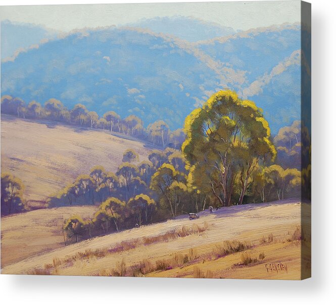 Rural Acrylic Print featuring the painting Highland grazing Lithgow by Graham Gercken