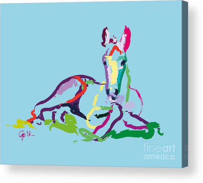 Foal Acrylic Print featuring the painting Horse - foal - sweetie by Go Van Kampen