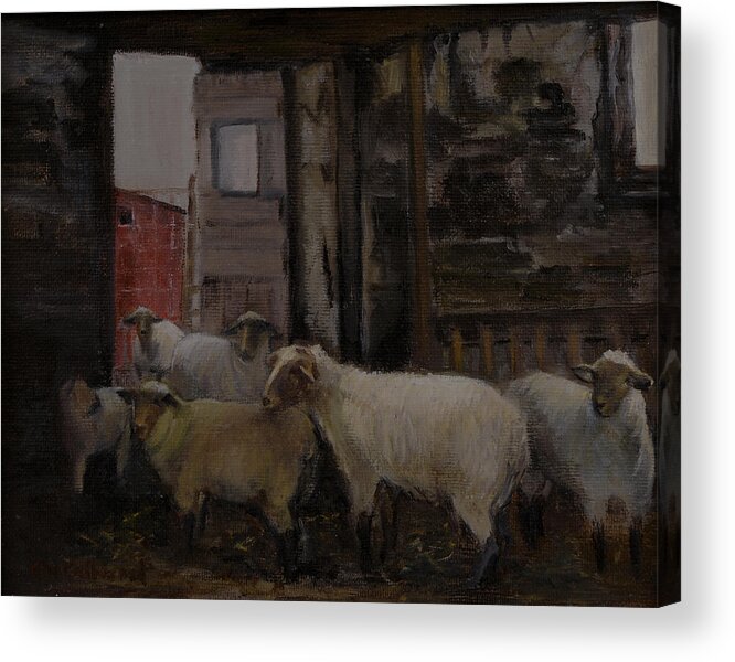 Sheep Acrylic Print featuring the painting In the Shed by Aurelia Nieves-Callwood