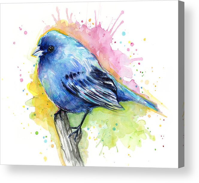 Blue Acrylic Print featuring the painting Indigo Bunting Blue Bird Watercolor by Olga Shvartsur