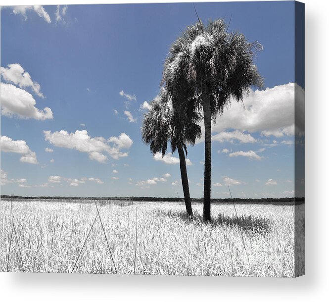 Infrared Acrylic Print featuring the photograph Infrared Prairie by Joanne McCurry