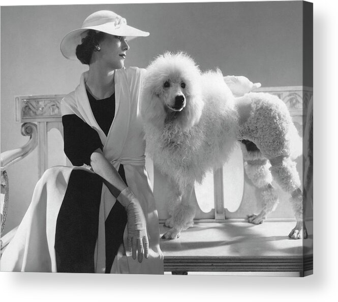 Animal Acrylic Print featuring the photograph Isabel Johnson With A Poodle by Edward Steichen