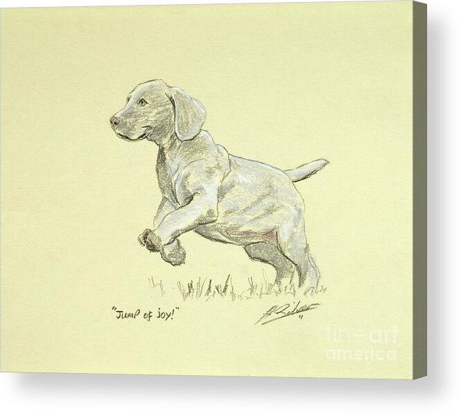 Dog Paintings Acrylic Print featuring the pastel Jump of joy by John Silver