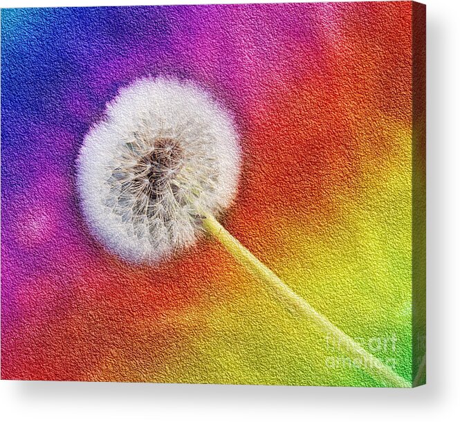 Abstract Acrylic Print featuring the photograph Just Dandy Rainbow 2 by Andee Design