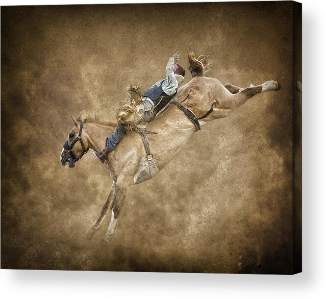 Horse Acrylic Print featuring the photograph Kick a hole in the sky by Ron McGinnis