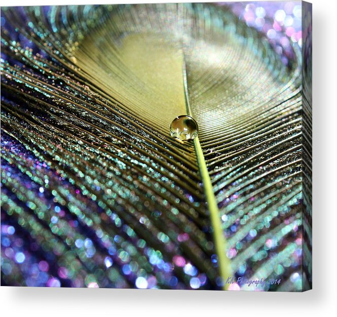 Feather Acrylic Print featuring the photograph Liquid Reflection by Krissy Katsimbras
