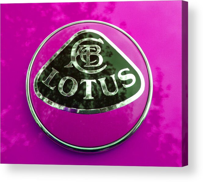 Lotus Acrylic Print featuring the photograph Lotus Logo in Spring 4 by Laurie Tsemak