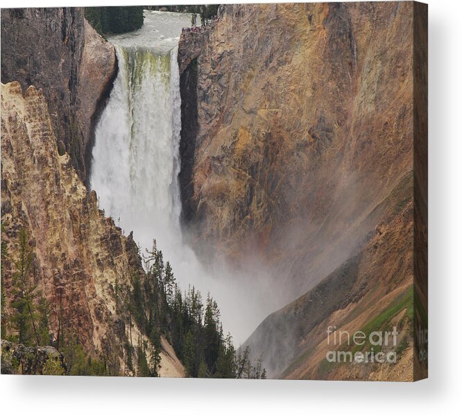 Yellowstone Acrylic Print featuring the photograph Lower Falls - Yellowstone by Mary Carol Story