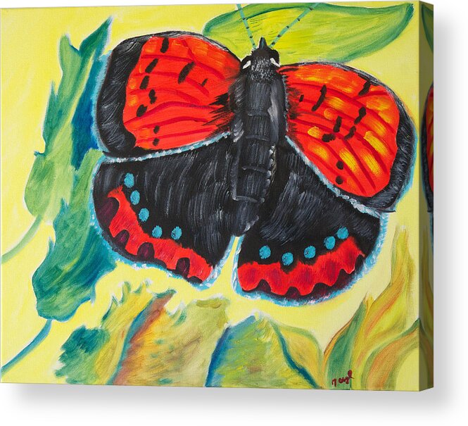 Butterfly Acrylic Print featuring the painting Luminous by Meryl Goudey