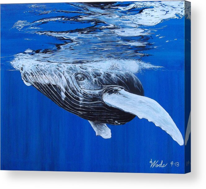 Humpback Whale Acrylic Print featuring the painting Lusus Naturae by Wade Geilow