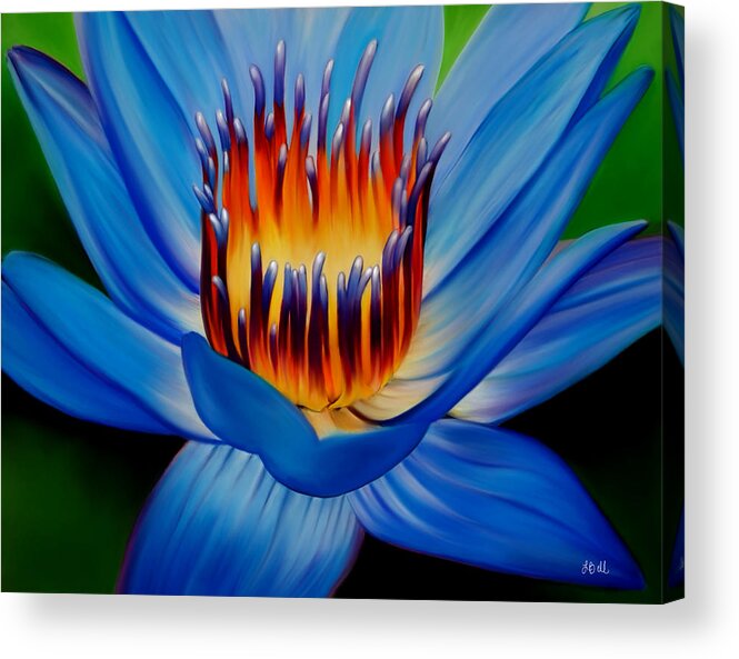 Water Lily Acrylic Print featuring the painting Marvel by Laura Bell