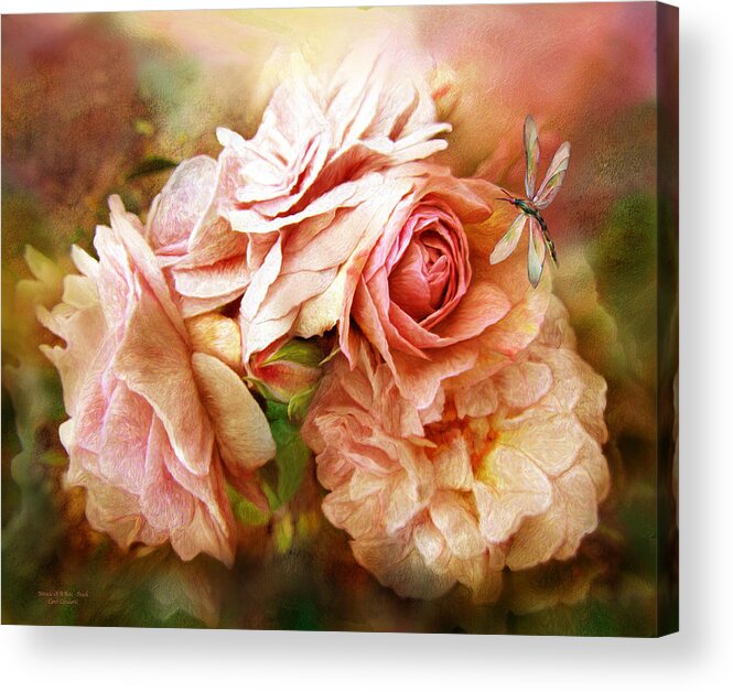 Rose Acrylic Print featuring the mixed media Miracle Of A Rose - Peach by Carol Cavalaris