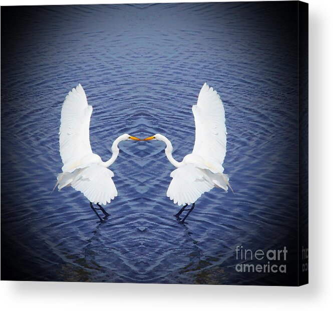 Egret Acrylic Print featuring the photograph Mirror Image by Cathy Lindsey