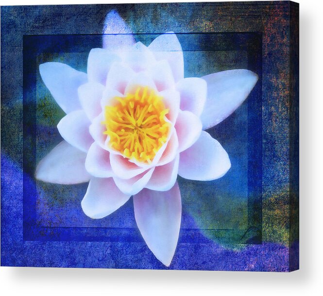 Water Lily Acrylic Print featuring the photograph Monet's Garden by Georgiana Romanovna