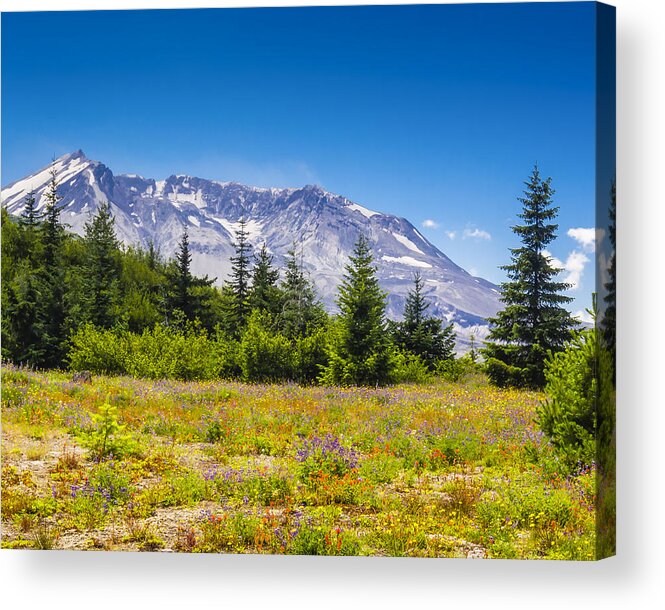 Mount Acrylic Print featuring the photograph Mount St. Helens by Kyle Wasielewski