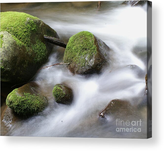 Mountains Acrylic Print featuring the photograph Mountain River by Susan Cliett