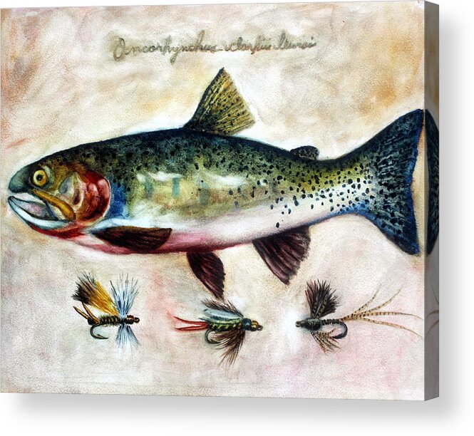 Trout Acrylic Print featuring the painting Mr. Cuttie by Mary C Farrenkopf