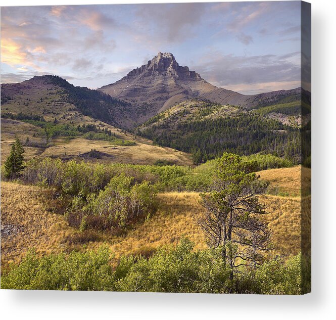 Feb0514 Acrylic Print featuring the photograph Mt Galwey Waterton Lakes Canada by Tim Fitzharris