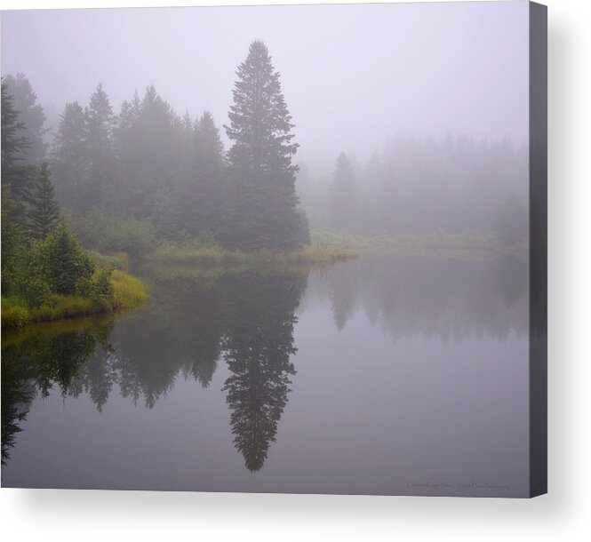 Fog Acrylic Print featuring the photograph Mystical Morning by Forest Floor Photography