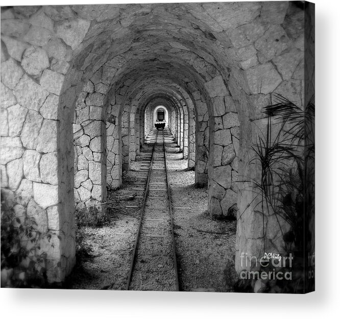 Arched Narrow Gauge Acrylic Print featuring the photograph Arched Narrow Gauge by Patrick Witz