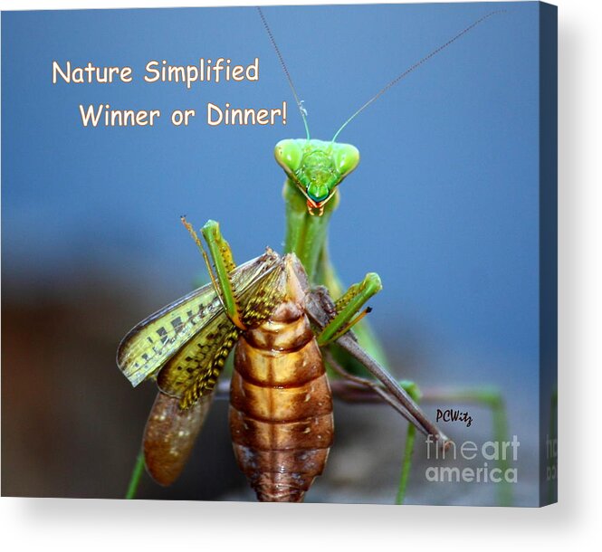 Nature Simplified Acrylic Print featuring the photograph Nature Simplified by Patrick Witz