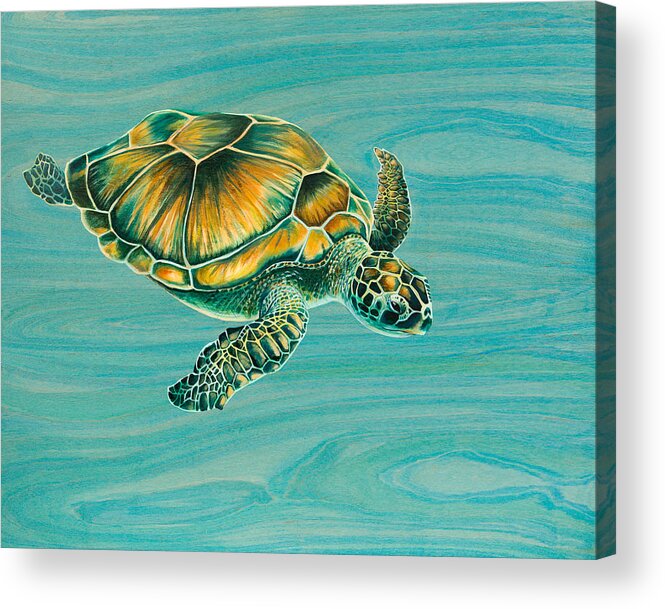 Emily Brantley Acrylic Print featuring the painting Nik's Turtle by Emily Brantley