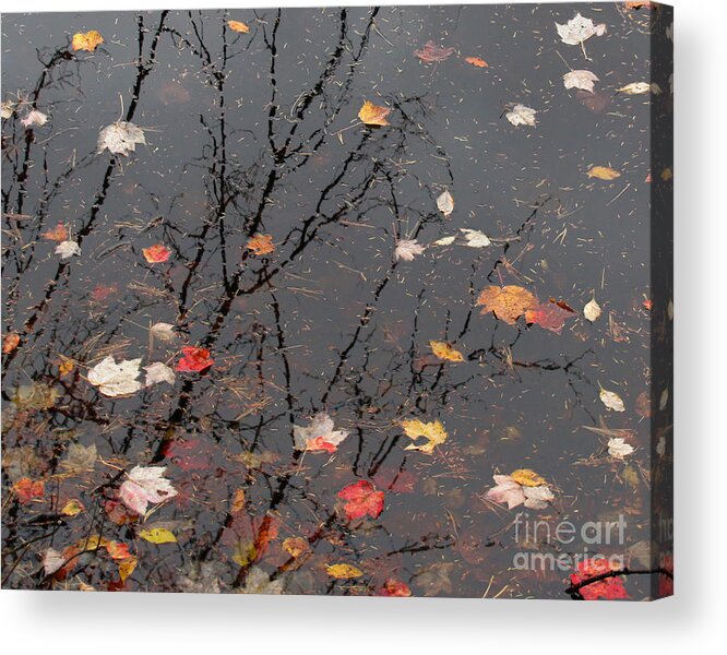 October Song Acrylic Print featuring the photograph October Song 3 by Gregory Arnett