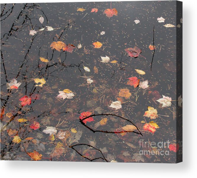 October Song Acrylic Print featuring the photograph October Song 4 by Gregory Arnett