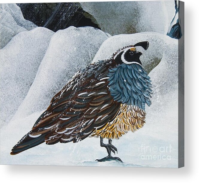 Quail Acrylic Print featuring the painting Old Quail by Jennifer Lake