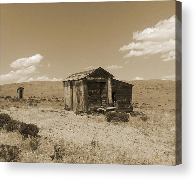 Vintage Acrylic Print featuring the photograph Out on the Prairie by Amanda Smith