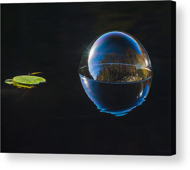 Bubble Acrylic Print featuring the photograph On the still Den by Terry Cosgrave