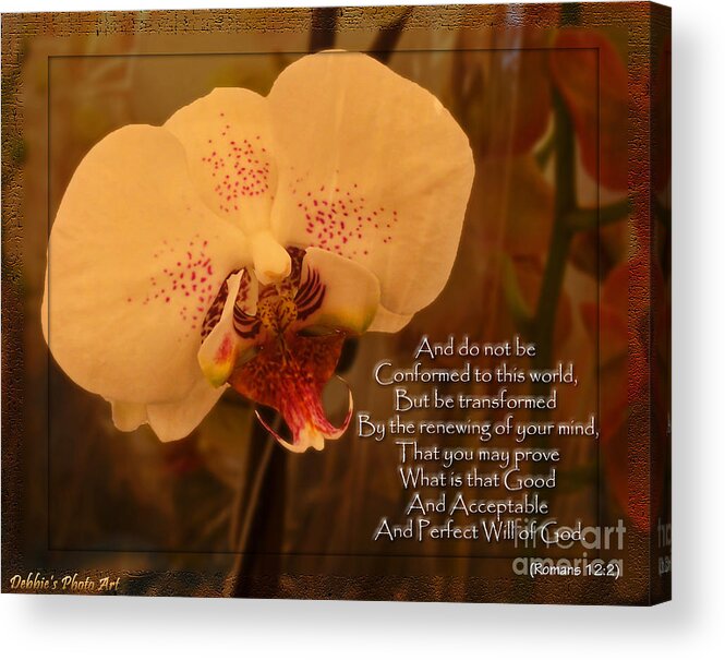 Nature Acrylic Print featuring the photograph Orchid with verse by Debbie Portwood