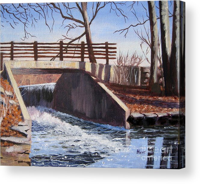 Landscape Acrylic Print featuring the painting Overflow by Shirley Braithwaite Hunt