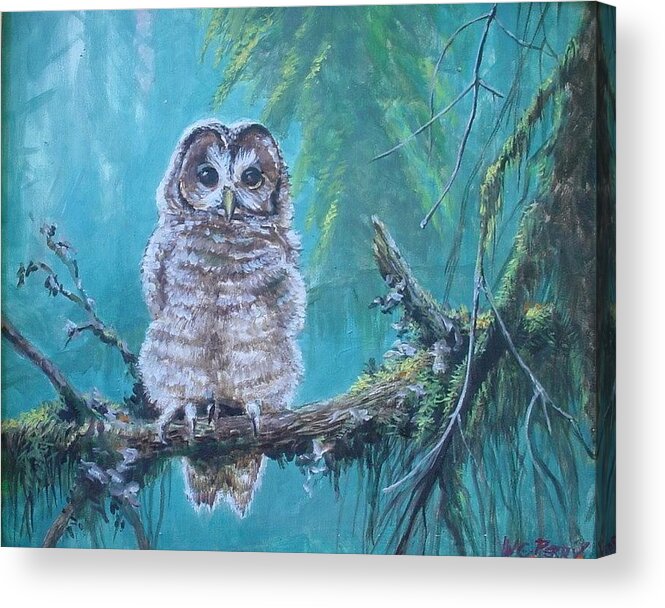 Owl In The Woods Acrylic Print featuring the painting Owl in the woods by Perry's Fine Art