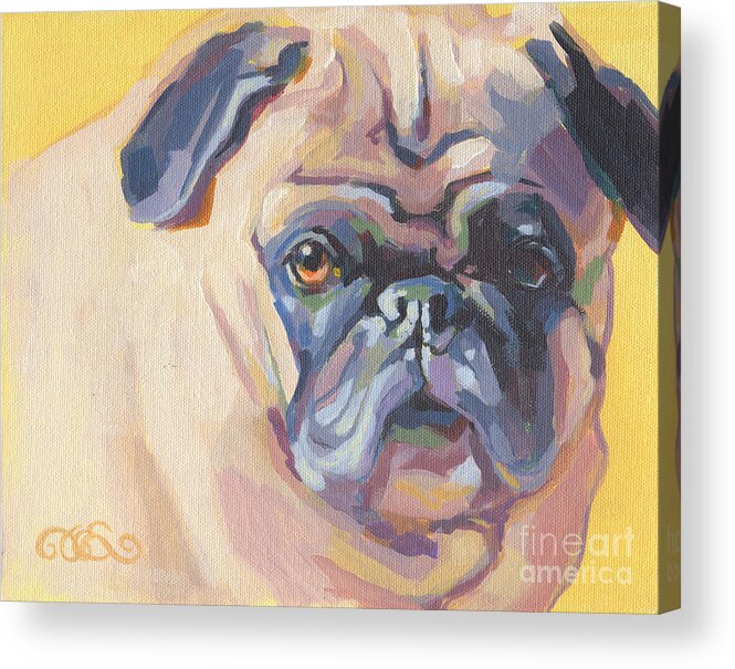 Pet Portrait Acrylic Print featuring the painting Paco Pug by Kimberly Santini