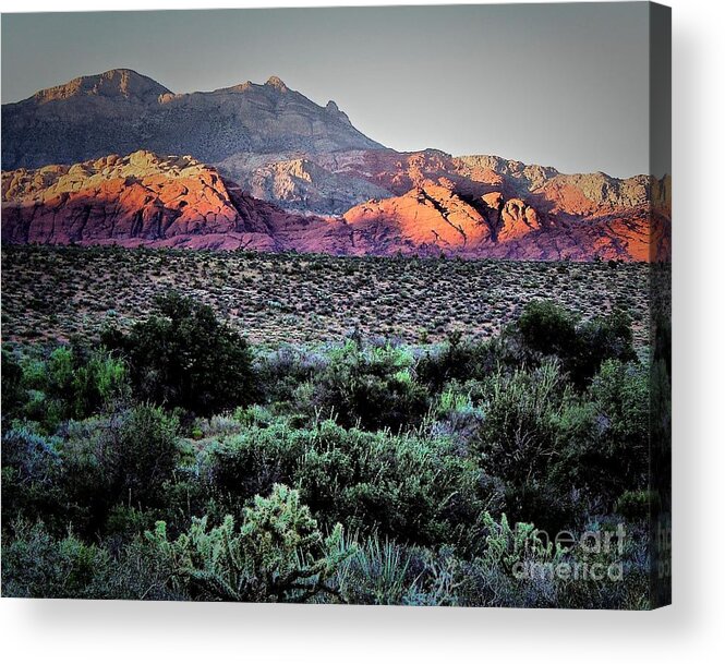 Landscape Acrylic Print featuring the photograph Painted Desert by Robert McCubbin