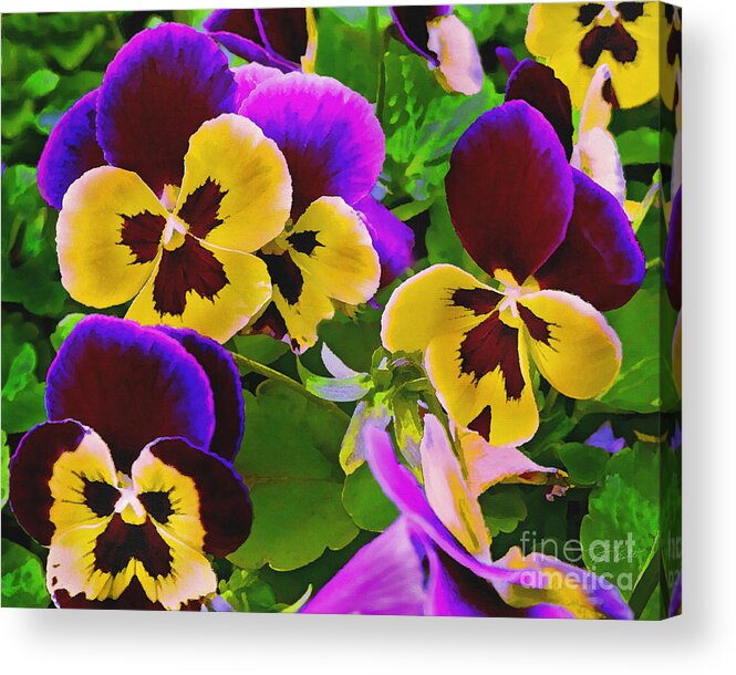 Pansy Acrylic Print featuring the painting Painterly Purple Pansy by Peter Piatt
