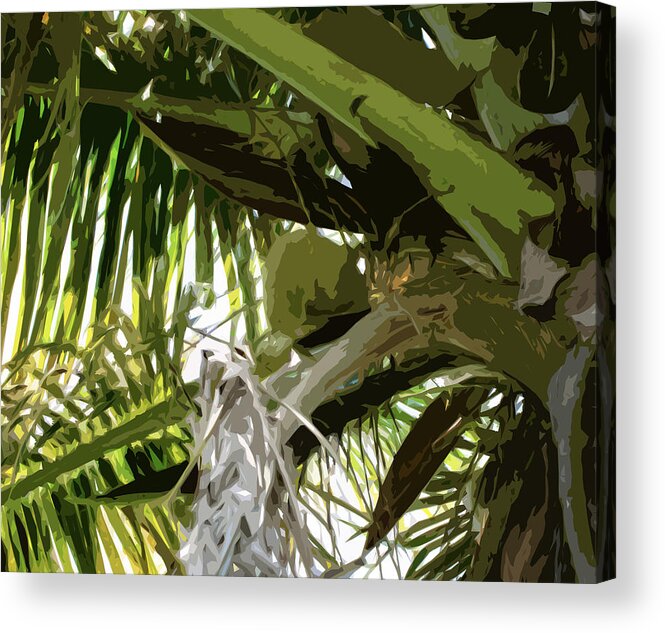 Palm Acrylic Print featuring the photograph Palms away 2 by Alan Metzger