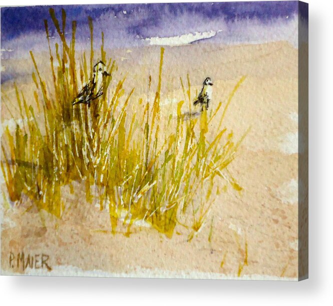 Ocean Acrylic Print featuring the painting Peek a Boo by Pete Maier