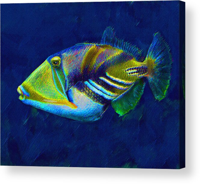 Picasso Acrylic Print featuring the digital art Picasso Triggerfish by Jane Schnetlage