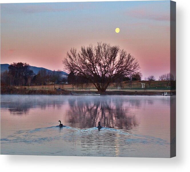 Sunrise Acrylic Print featuring the photograph Pink morning by Lynn Hopwood