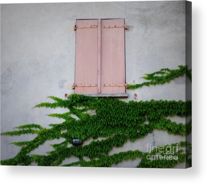 Doors And Windows Acrylic Print featuring the photograph Pink Shutters and Green Vines by Lainie Wrightson